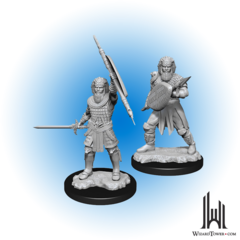 D&D Nolzur's Marvelous Miniatures: Human Fighter Male